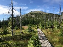 Weg zum Bayerischen Berg Lusen im Bayerischen Wald mit beeindruckender grüner Natur
