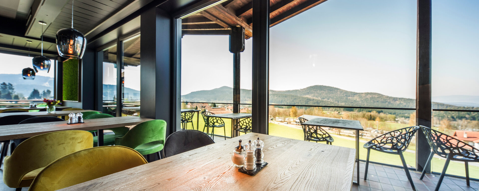 Aussicht aus dem Restaurant im natura Hotel auf den Bayerischen Wald