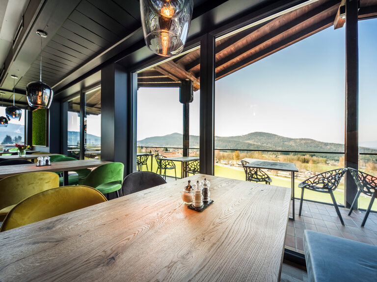 Aussicht aus dem Restaurant im natura Hotel auf den Bayerischen Wald