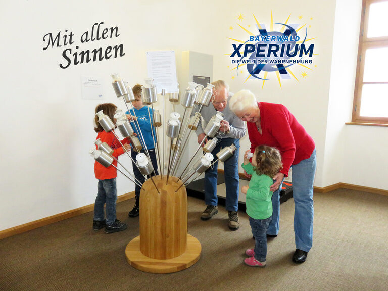 Eine Gruppe von Kindern schaut sich ein Ausstellungstück im xperium bayerwald an.