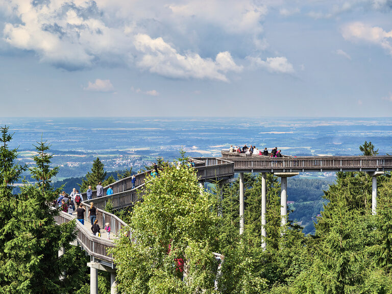 Blick auf den tollen Baumwipfelpfad in St. Englmar mit Blick auf den Bayerischen Wald.
