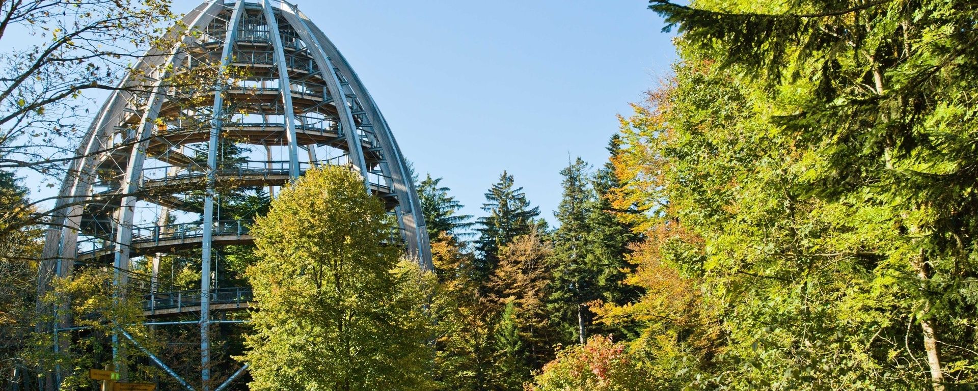 Baumwipfelpfad Bayerischer Wald