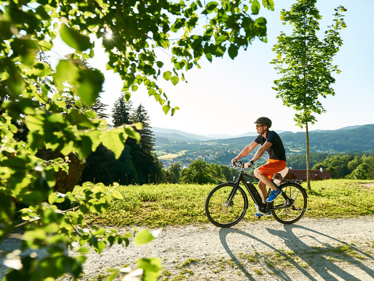 Ein e-Bike-Fahrer auf einem schönen Fahrradweg in Bodenmais mit Bayerwald im Hintergrund.
