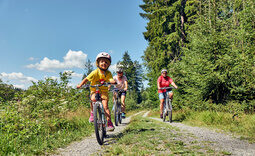 Eine Familie beim Radfahren durch den Wald in der nähe von Bodenmais