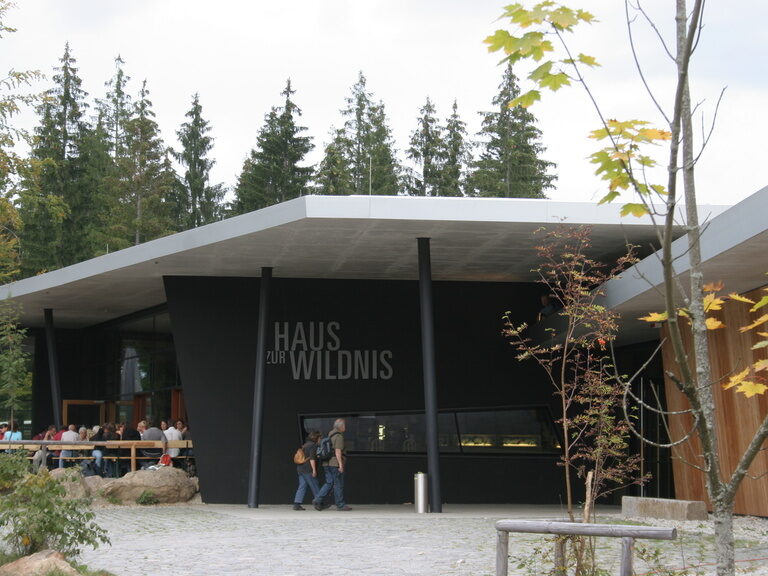 Eingang zum Haus zur Wildnis in Falkenstein.