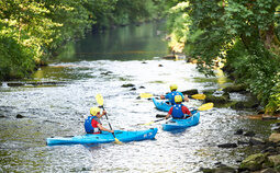 Gruppe von Kajakfahrern mit Schwimmwesten und Helmen auf einem ruhigen, bewaldeten Fluss im Bayerischen Wald.