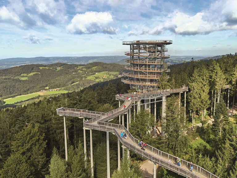 Ein atemberaubender Luftblick auf den Baumwipfelpfad im Nationalpark Bayerischer Wald.
