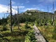 Bayerwaldberg Lusen