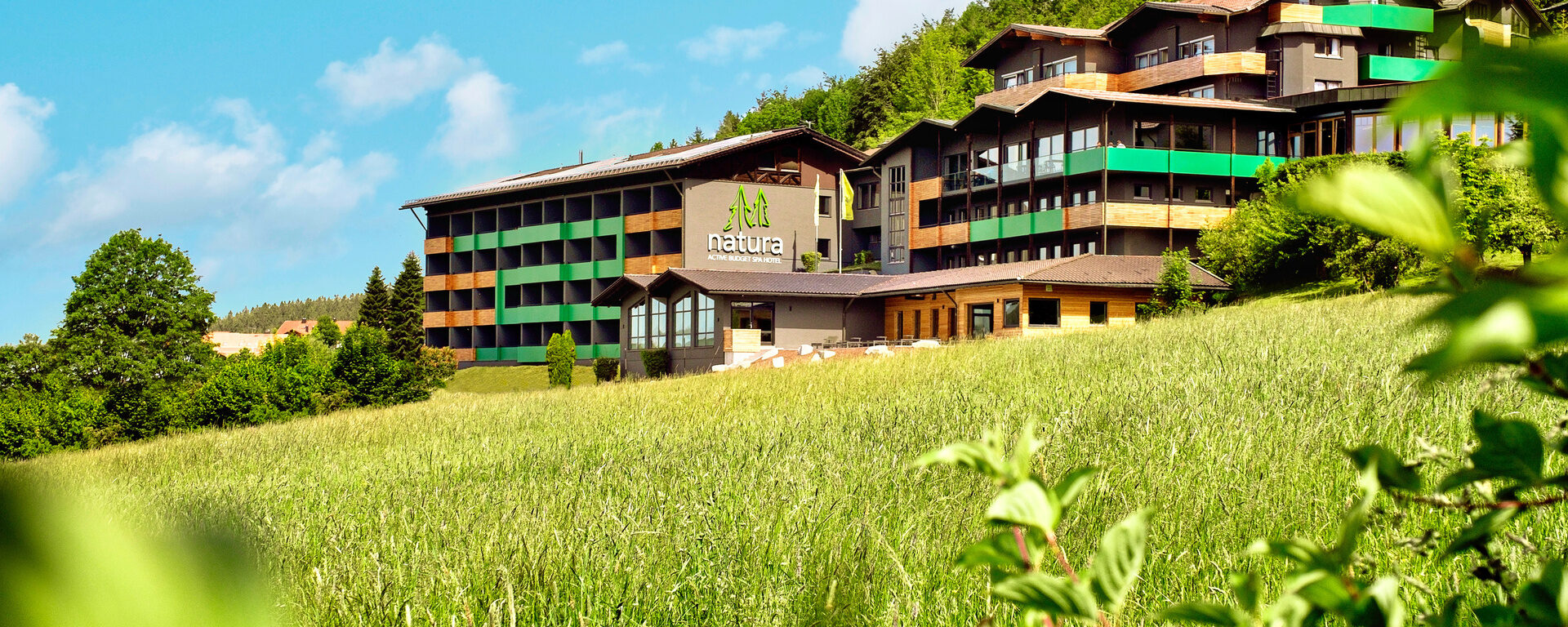 Das imposante natura Hotel in Bodenmais ist von grünen Wiesen und Wäldern umgeben.