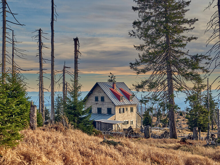 Die Racheldiensthütte im Bayerischen Wald umgeben von natürlicher Schönheit und toller Beleuchtung.