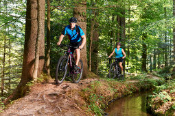 Radfahren oder Mountinbiken im Bayerischen Wald.