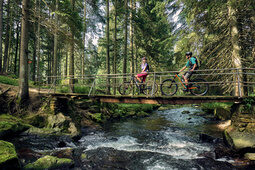 Personen fahren mit dem Mountainbike über eine Holzbrücke im Wald.