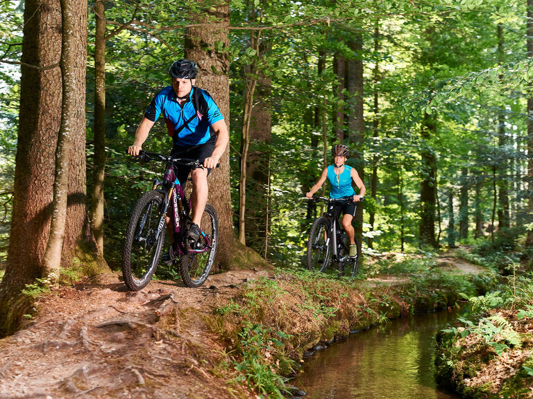 Zwei Radfahrer bei einer Radtour durch den Bayerwald in der nähe von Bodenmais.