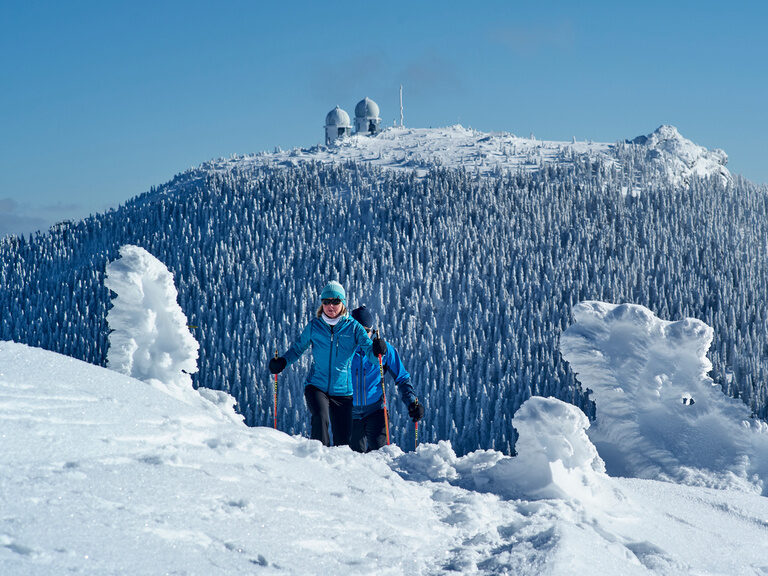 Schneeschuhwanderer durchschreiten eine verschneite Winterlandschaft mit Arbergipfel im Hintergrund