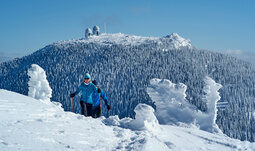 Schneeschuhwanderer durchschreiten eine verschneite Winterlandschaft mit Arbergipfel im Hintergrund