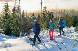 Eine Gruppe von Schneeschuhwanderern schreitet durch eine Winterlandschaft nahe Bodenmais