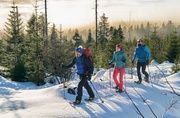 Schneeschuhwandern Bodenmais