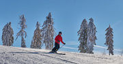 Wintersport in Bodenmais