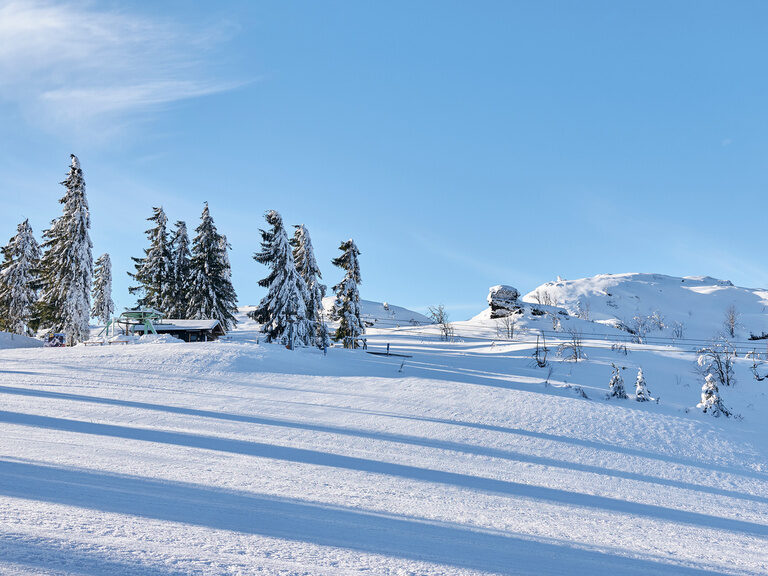 Eine verschneite Winterlandschaft  mit viel Schnee am Silberberg in Bodenmais, Bayerischer Wald.