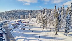 Mehrere Skifahrer auf einer Skipiste im Bayerischen Wald