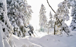 Ein Mann auf einer Skitour durch den winterlichen Bayerischen Wald.