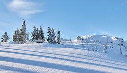 Eine verschneite Winterlandschaft  mit viel Schnee am Silberberg in Bodenmais, Bayerischer Wald.