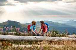Wanderer nehmen eine wohlverdiente Pause auf einem Baumstamm mit Blick auf den Großen Arber im Bayerischen Wald.