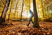 Wandern Bodenmais