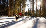Winterwandern in Bodenmais